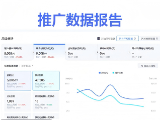 推广数据报告